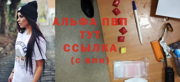 молекула духа Арсеньев