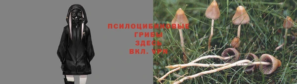 молекула духа Арсеньев
