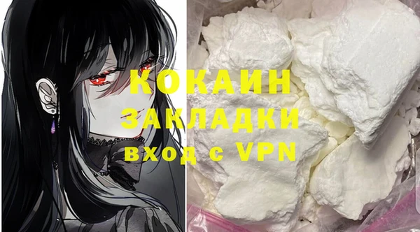 молекула духа Арсеньев