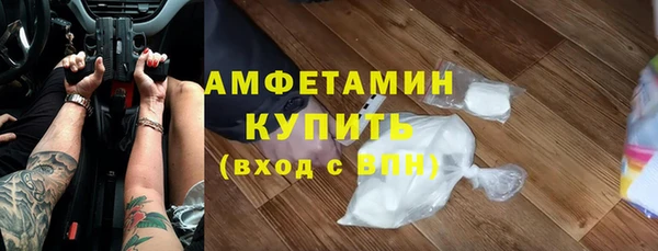 молекула духа Арсеньев